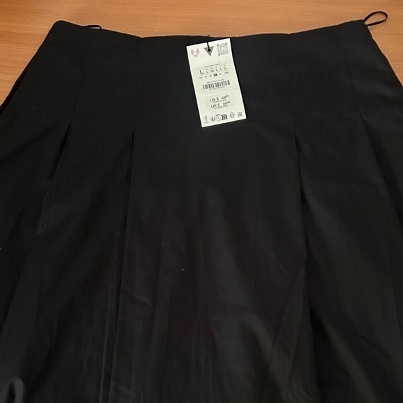 Zara Black Midi Skirt with Pleated A-Line - Picture 8 of 14